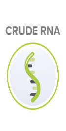 Crude RNA